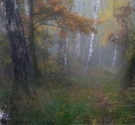 Tomek Kiecana „DZIKA PRZYRODA LUBLINA”
