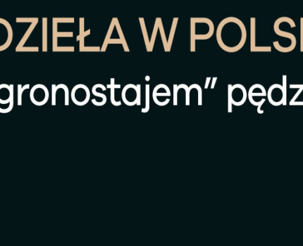 Spotkanie z historykiem sztuki dr Elżbietą Matyaszewską