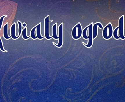 Koncert tańca orientalnego inspirowany naturą i kobiecością