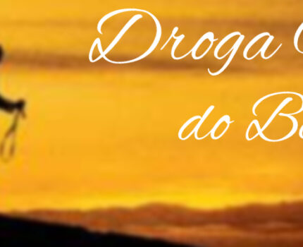 KONCERT BOŻONARODZENIOWY