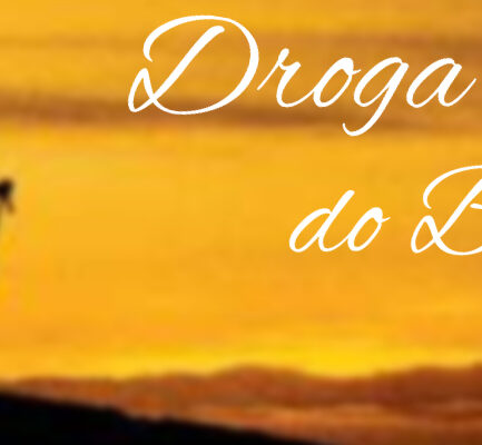 KONCERT BOŻONARODZENIOWY