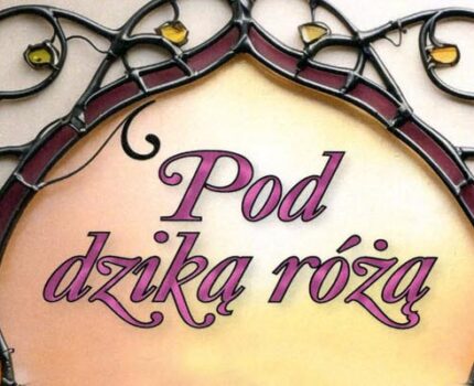 Pod dziką różą