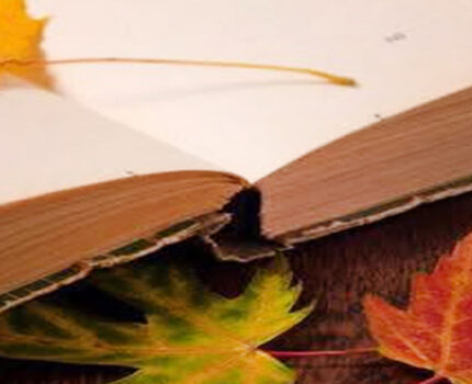 Gala Międzynarodowego Przeglądu Poezji im. Stanisława Andrzeja Łukowskiego – XXVIII Jesienne Debiuty Poetyckie