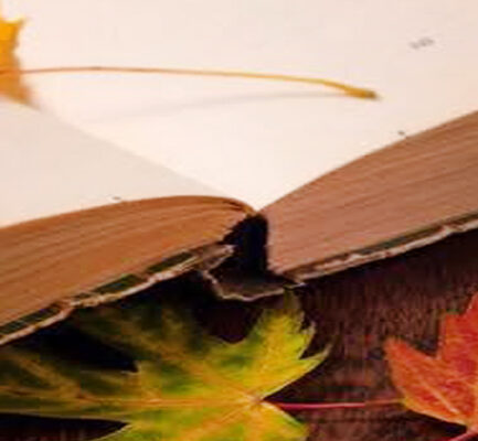 Gala Międzynarodowego Przeglądu Poezji im. Stanisława Andrzeja Łukowskiego – XXVIII Jesienne Debiuty Poetyckie