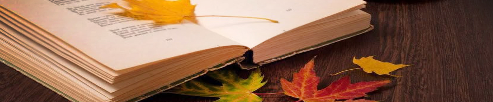 Gala Międzynarodowego Przeglądu Poezji im. Stanisława Andrzeja Łukowskiego – XXVIII Jesienne Debiuty Poetyckie