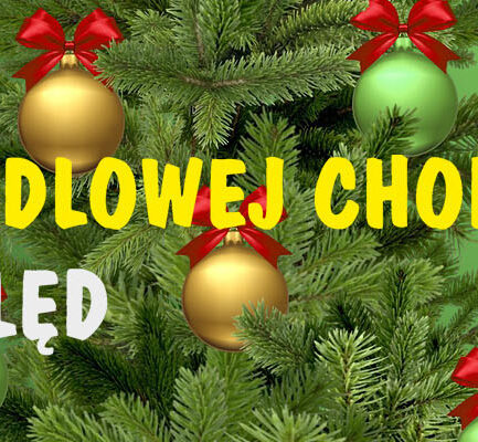 Osiedlowa CHOINKA LSM 2025/26