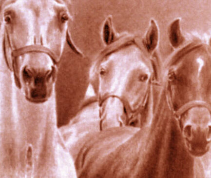 „Za zdrowie 46 koni!” – Promocja książki – dr Andrzej Pępiak