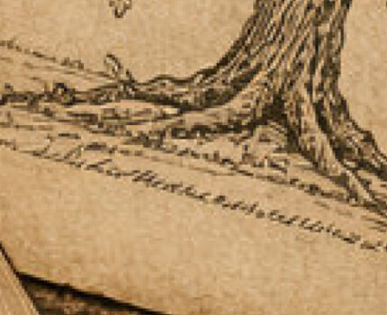 JAK ODNALEŹĆ SWOICH PRZODKÓW?