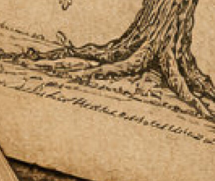 JAK ODNALEŹĆ SWOICH PRZODKÓW?