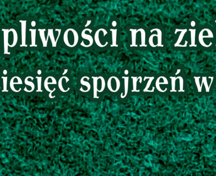 Wystawa malarstwa